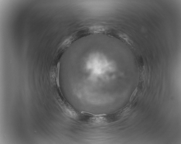 X0000060780427200511101344