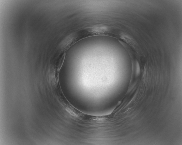 X0000060780428200511101344