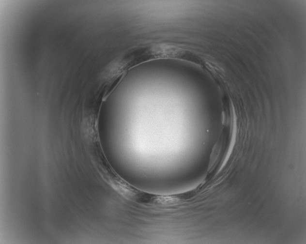 X0000060780429200511101344