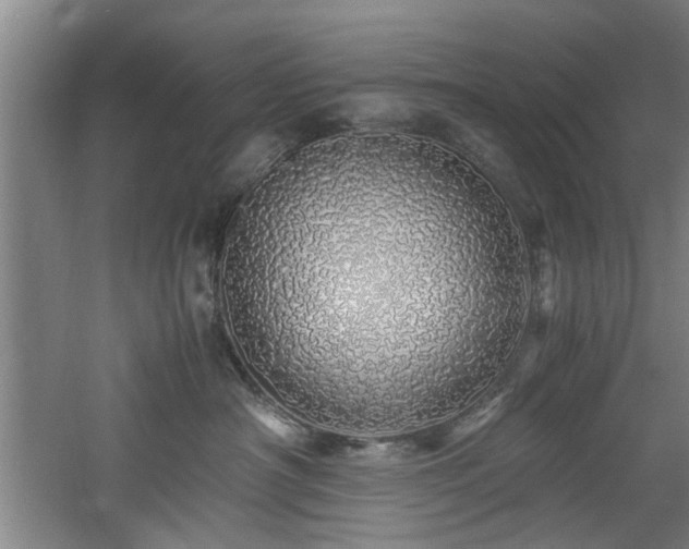 X0000060780430200511101344