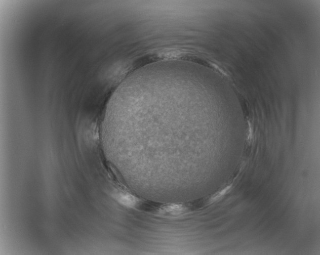 X0000060780431200511101344