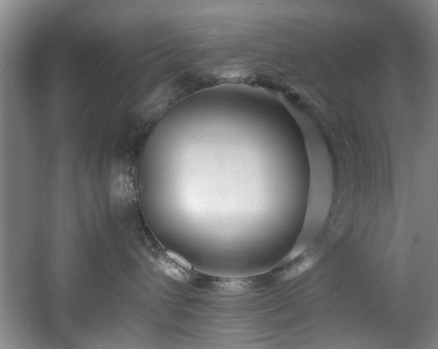 X0000060780432200511101344