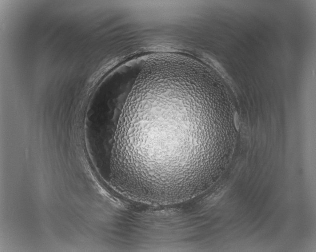 X0000060780433200511101344