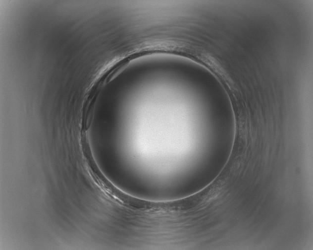 X0000060780434200511101344