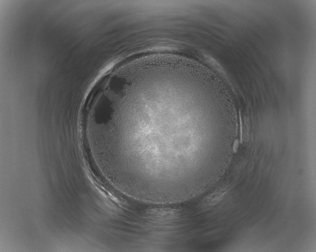 X0000060780435200511101344