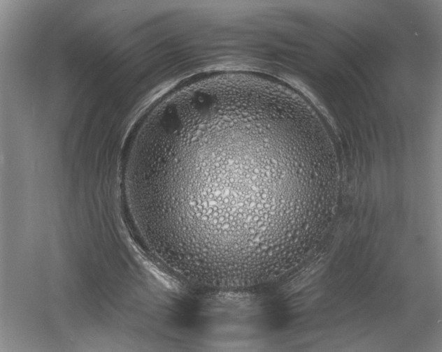 X0000060780437200511101344