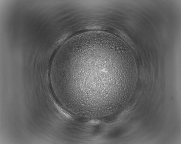 X0000060780441200511101344