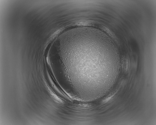 X0000060780445200511101344