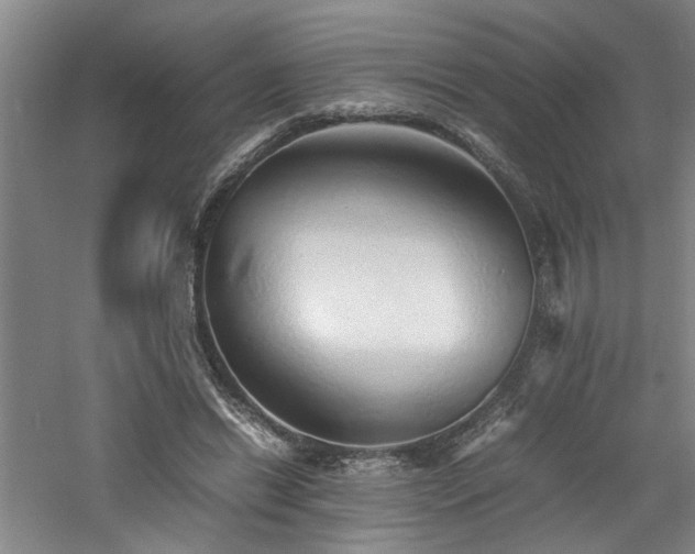 X0000060780446200511101344