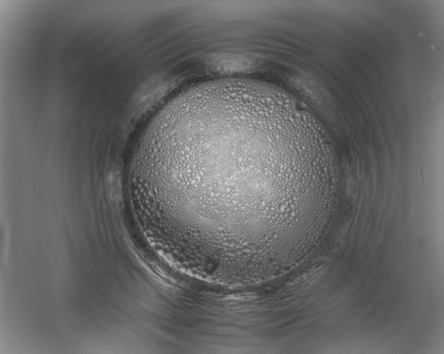 X0000060780447200511101344