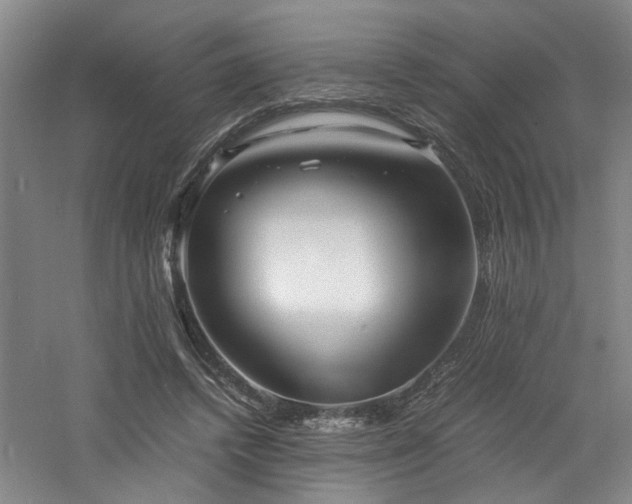 X0000060780448200511101344