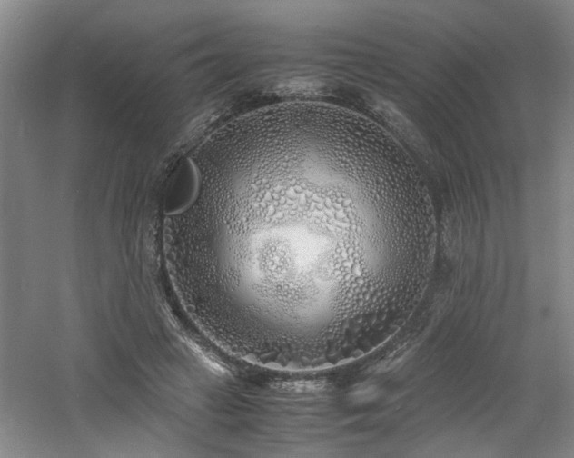 X0000060780449200511101344