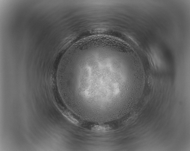 X0000060780455200511101344