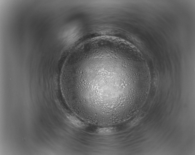 X0000060780461200511101344