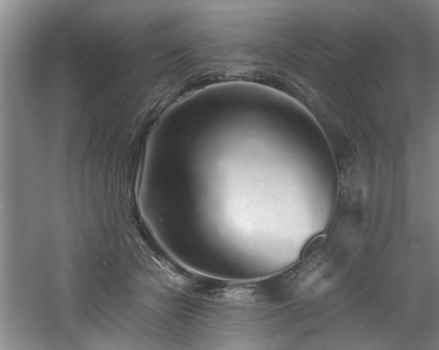 X0000060780462200511101344