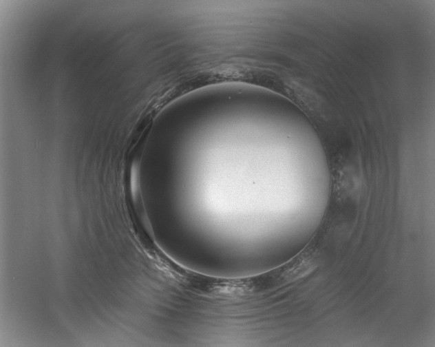 X0000060780466200511101344