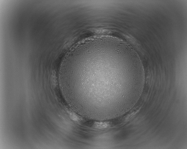 X0000060780469200511101344