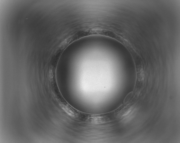 X0000060780472200511101344