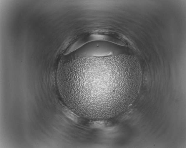 X0000060780473200511101344