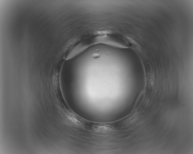 X0000060780475200511101344