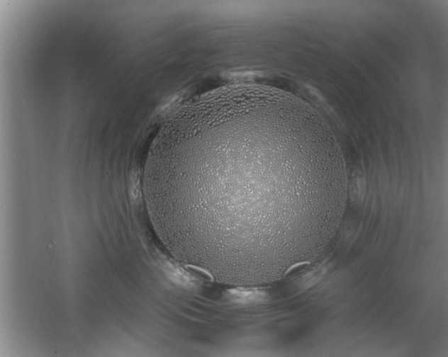 X0000060780477200511101344