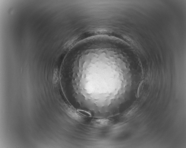 X0000060780478200511101344