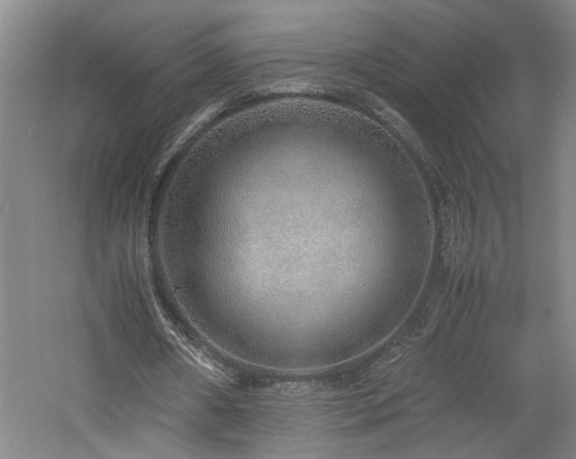 X0000060780482200511101344