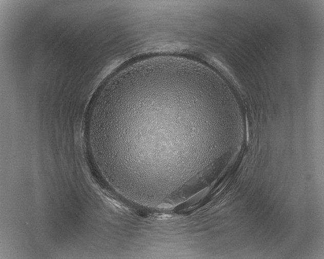 X0000060780483200511101344