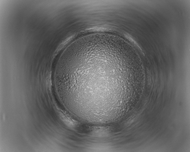 X0000060780486200511101343