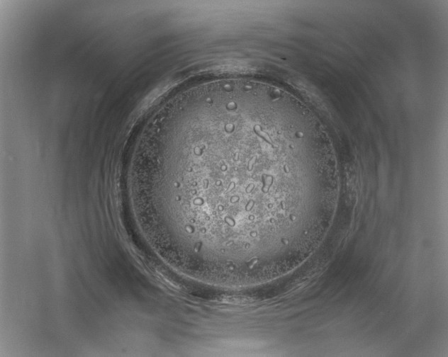 X0000060780487200511101343