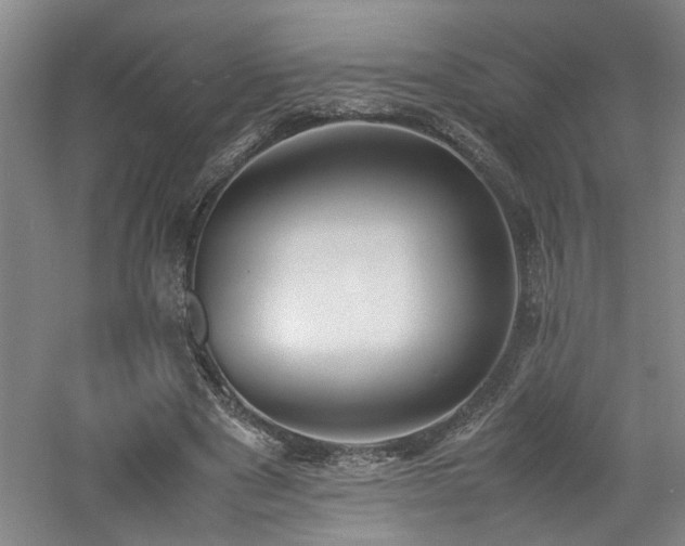 X0000060780489200511101343