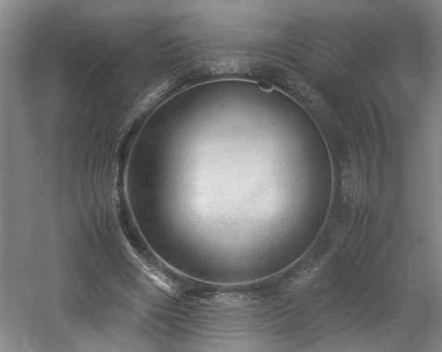 X0000060780490200511101343