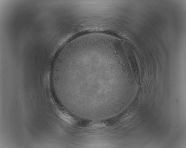 X0000060780491200511101343