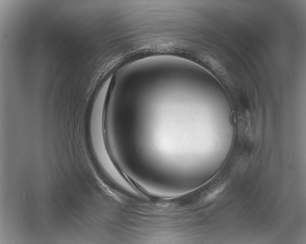 X0000060780493200511101343