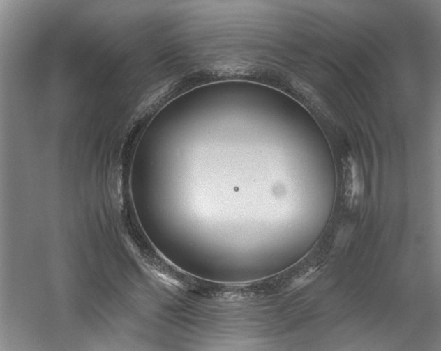 X0000060780494200511101343