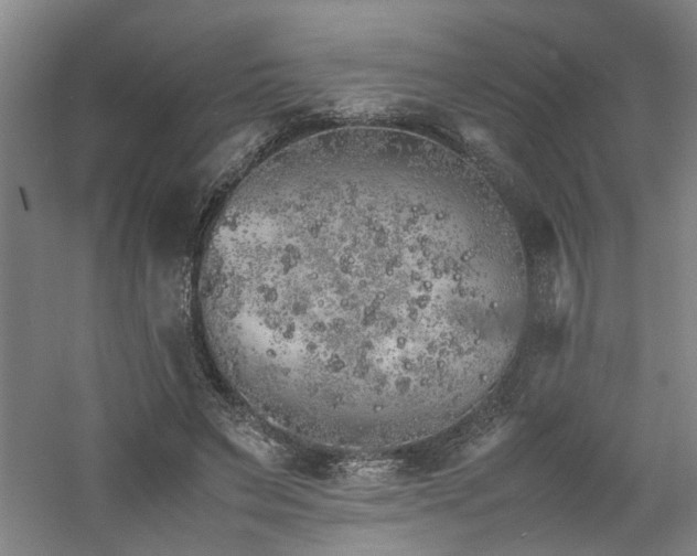 X0000060780495200511101343