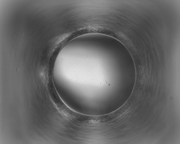 X0000060780496200511101343