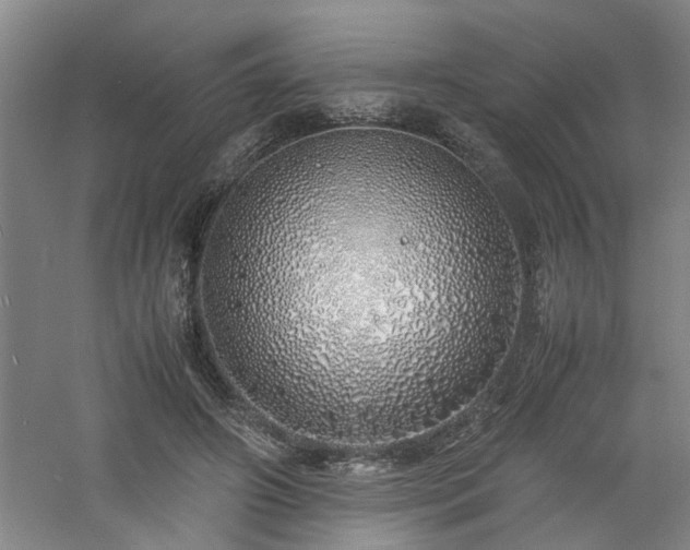 X0000060780498200511101343