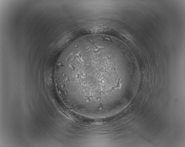 X0000060780499200511101343