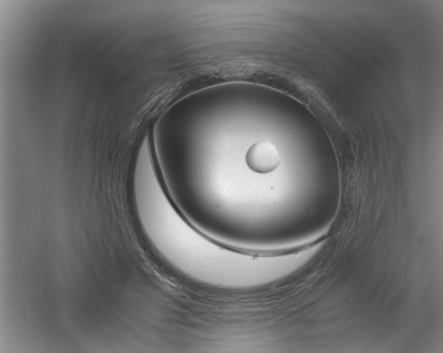 X0000060780501200511101343