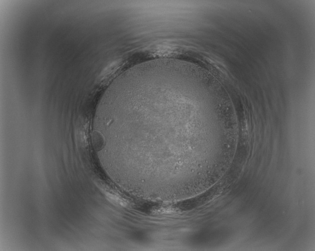 X0000060780503200511101343