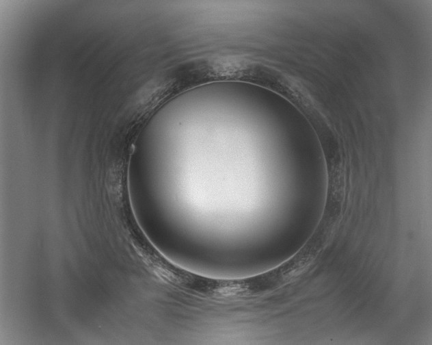 X0000060780505200511101343