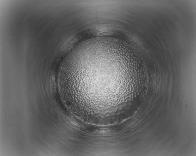 X0000060780506200511101343