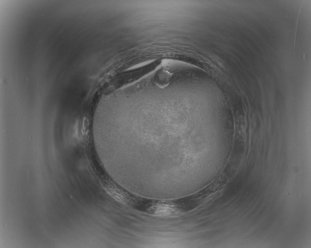 X0000060780507200511101343