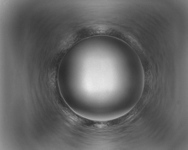 X0000060780509200511101343