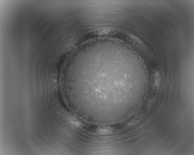 X0000060780510200511101343