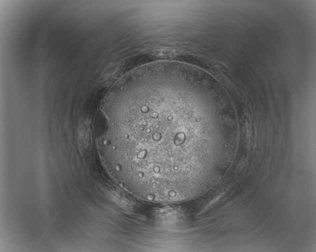 X0000060780511200511101343