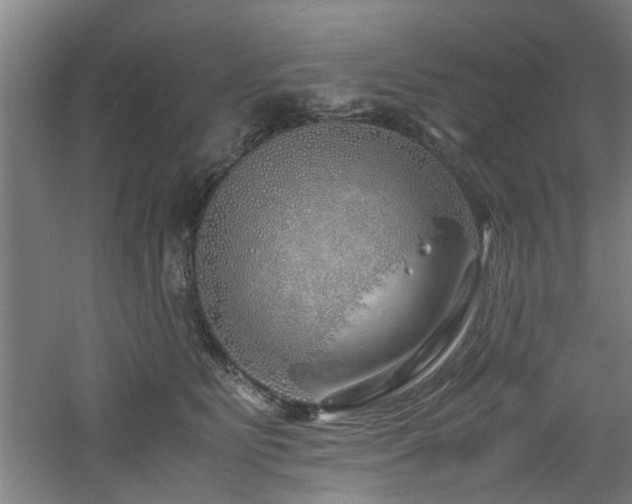 X0000060780515200511101343