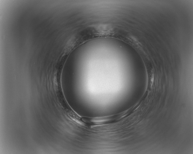 X0000060780516200511101343