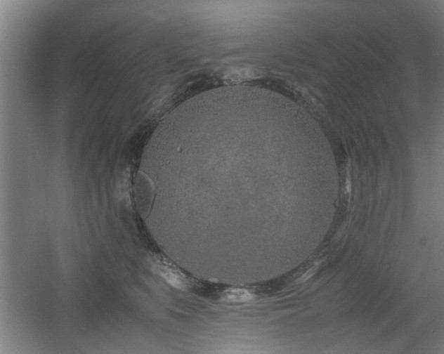 X0000060780519200511101343